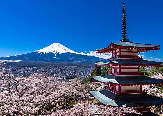 写真 富士山