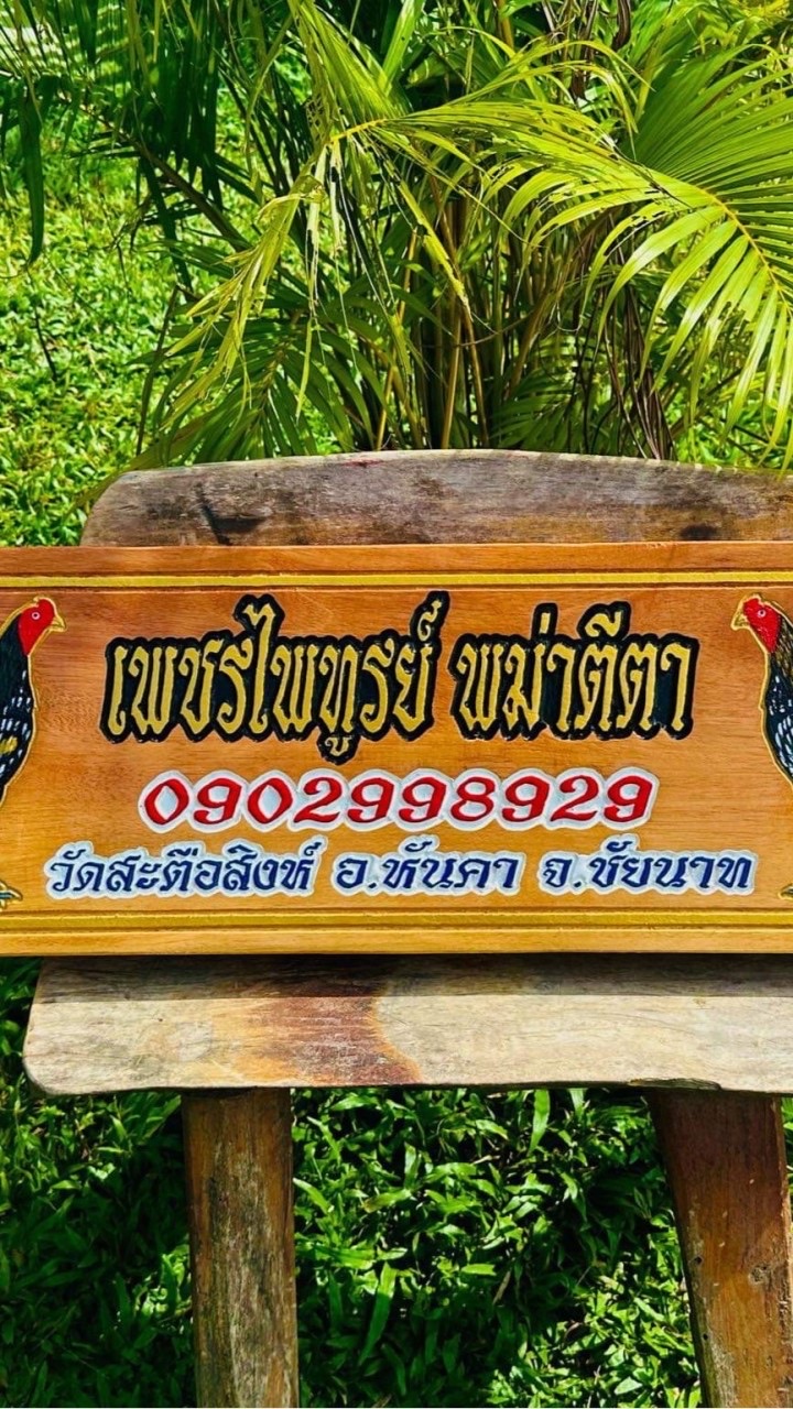 เพรชไพทูรย์ พม่าตีตา