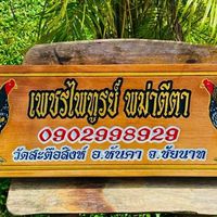 เพรชไพทูรย์ พม่าตีตา