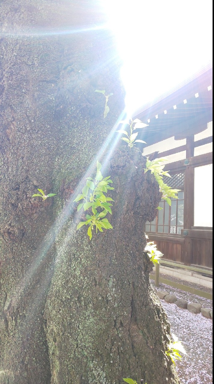 1日15分自分を褒めるだけで目標達成するワークシェア会