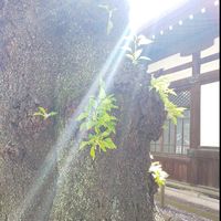 1日15分自分を褒めるだけで目標達成するワークシェア会