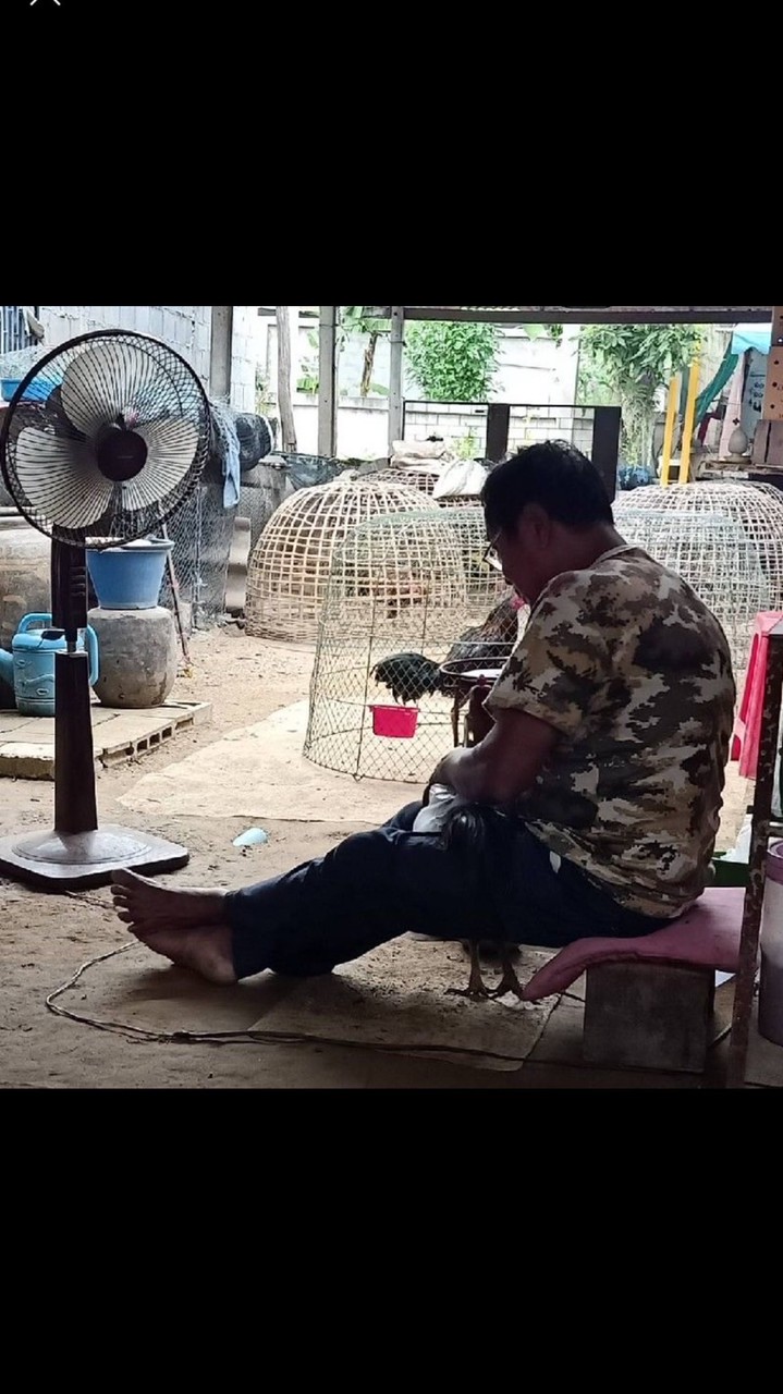 ซุ้มเกาะทอง