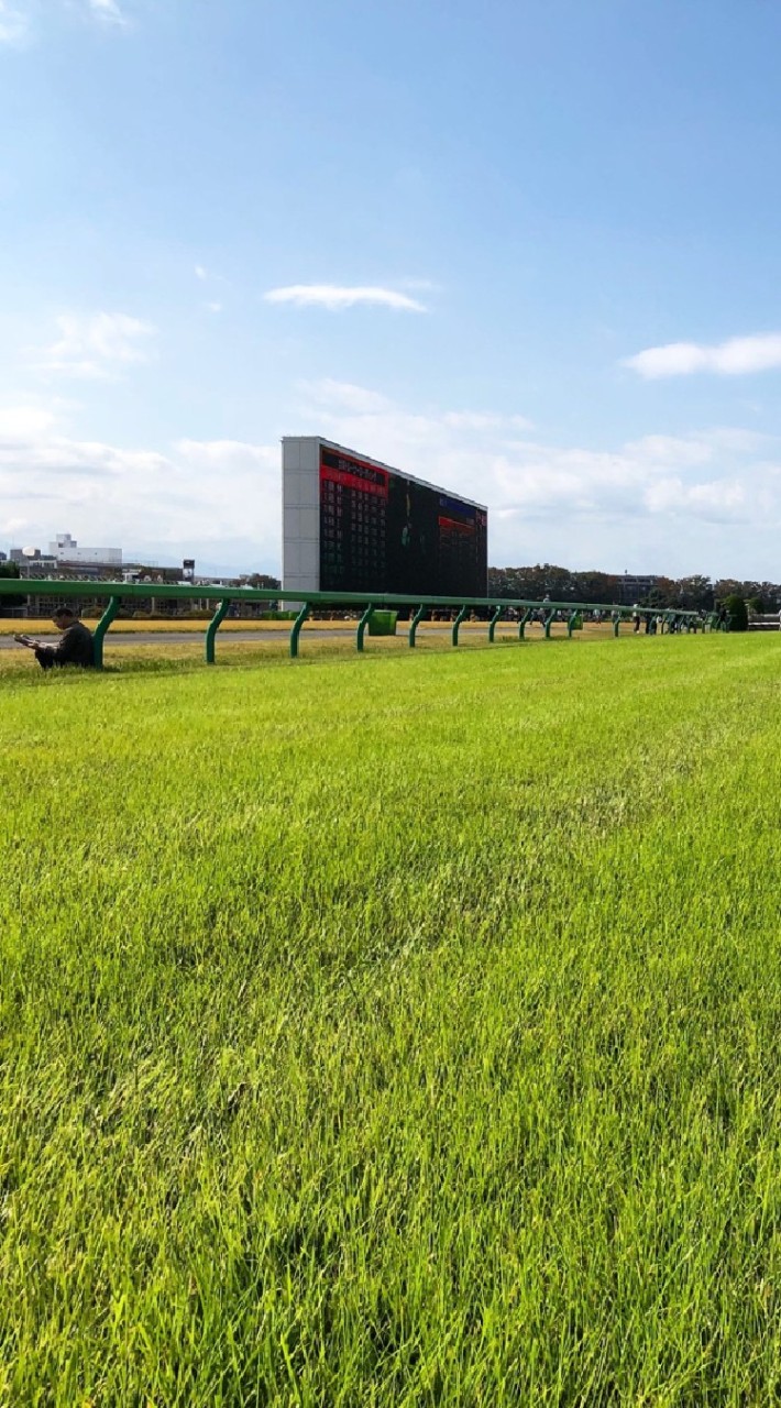 OpenChat 競馬予想・馬券自慢をしてもいいチャット