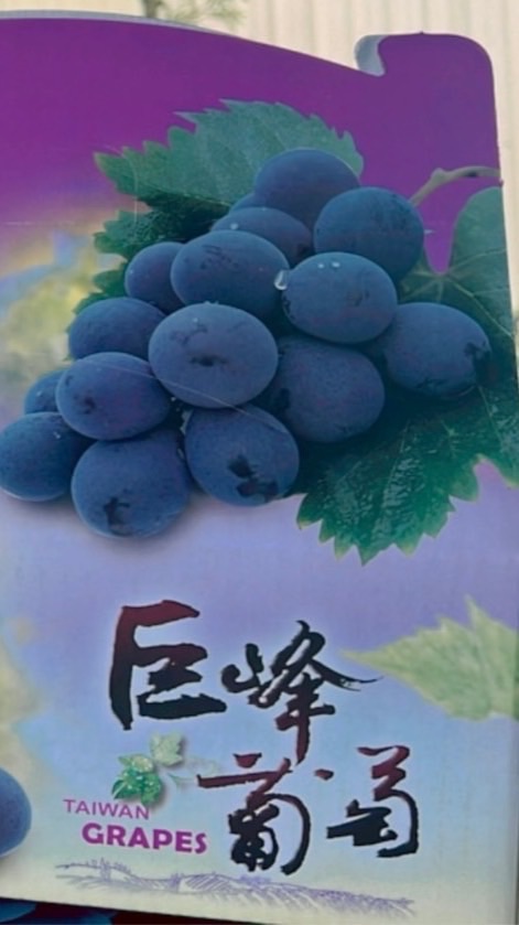 葡萄🍇&海鮮🦞