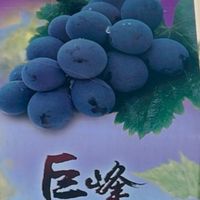 葡萄🍇&海鮮🦞