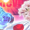 お花畑起こし隊