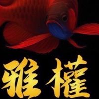 雅權水族交易買賣區🤝