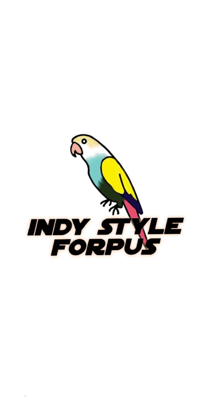 ลูกป้อนนกแก้วทุกชนิด Indy