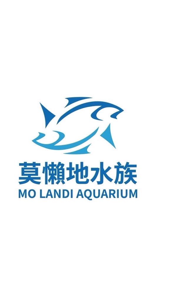 莫懶地水族競標