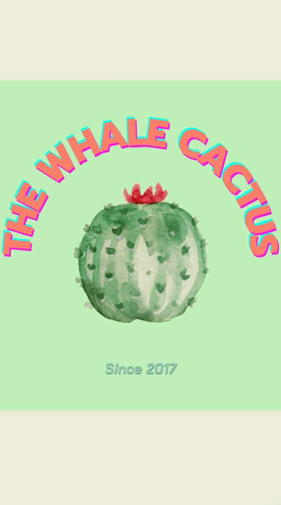 ให้เราดูแลต้นไม้ให้คุณ By The whale cactus