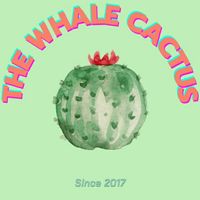 ให้เราดูแลต้นไม้ให้คุณ By The whale cactus