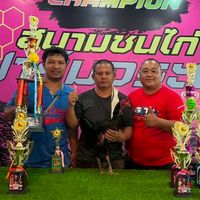 เพชรตระกูล ต.