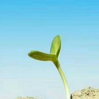 中小企業補給站