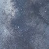 星に希う