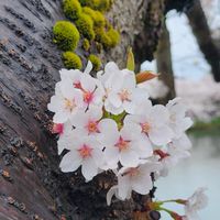 LW研討室