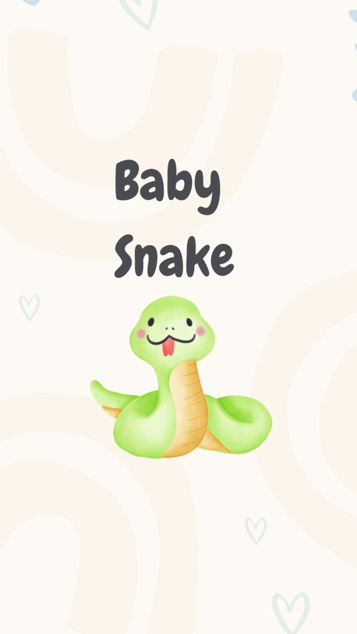 2025蛇寶寶底加🐍Baby Snake 🐍