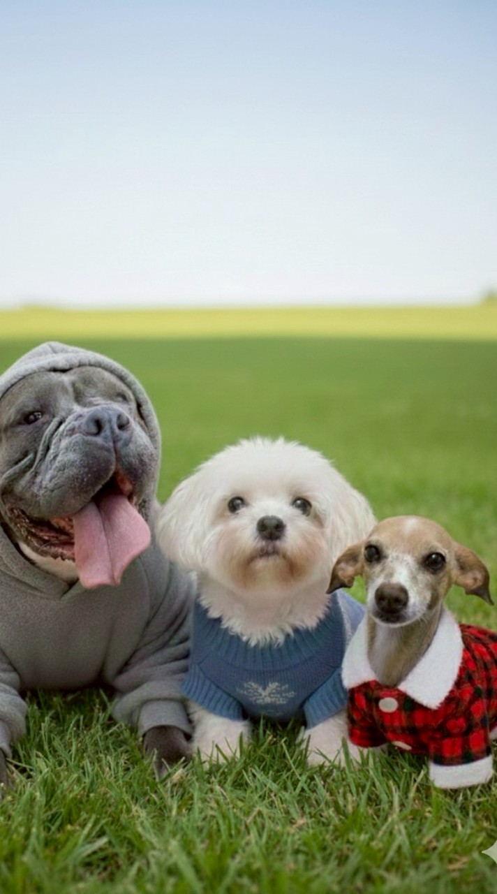 กะทิแอนด์เดอะแก๊ง