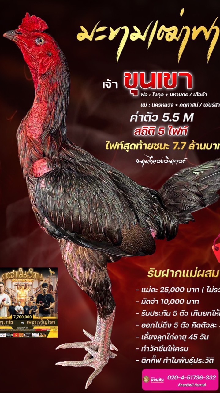 ฝากผสม ขุนเขา มะขามเฒ่าฟาร์ม