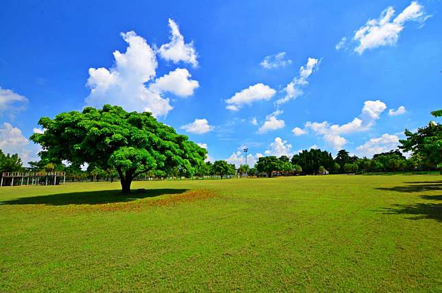 source：大林鎮公所 網站