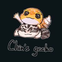 Chin's gecko Studio