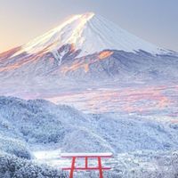 アラフィフ筋トレ、ダイエット