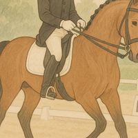 枚方ホースショー(馬場部門)