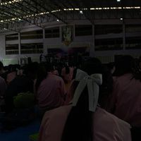 สายรหัสทับ8 promma