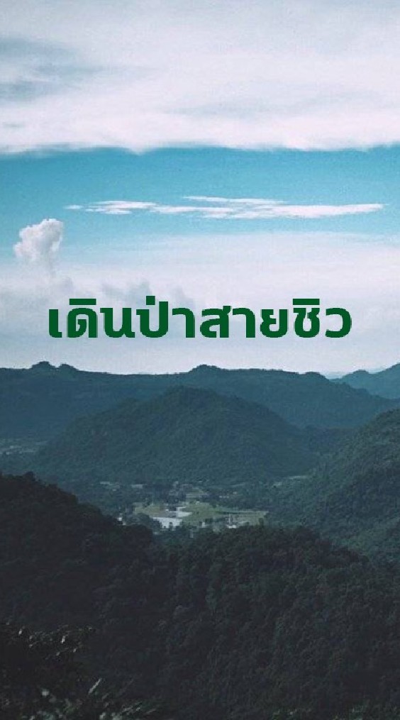 OpenChat เดินป่าสายชิว