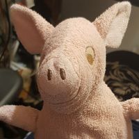 小窩子