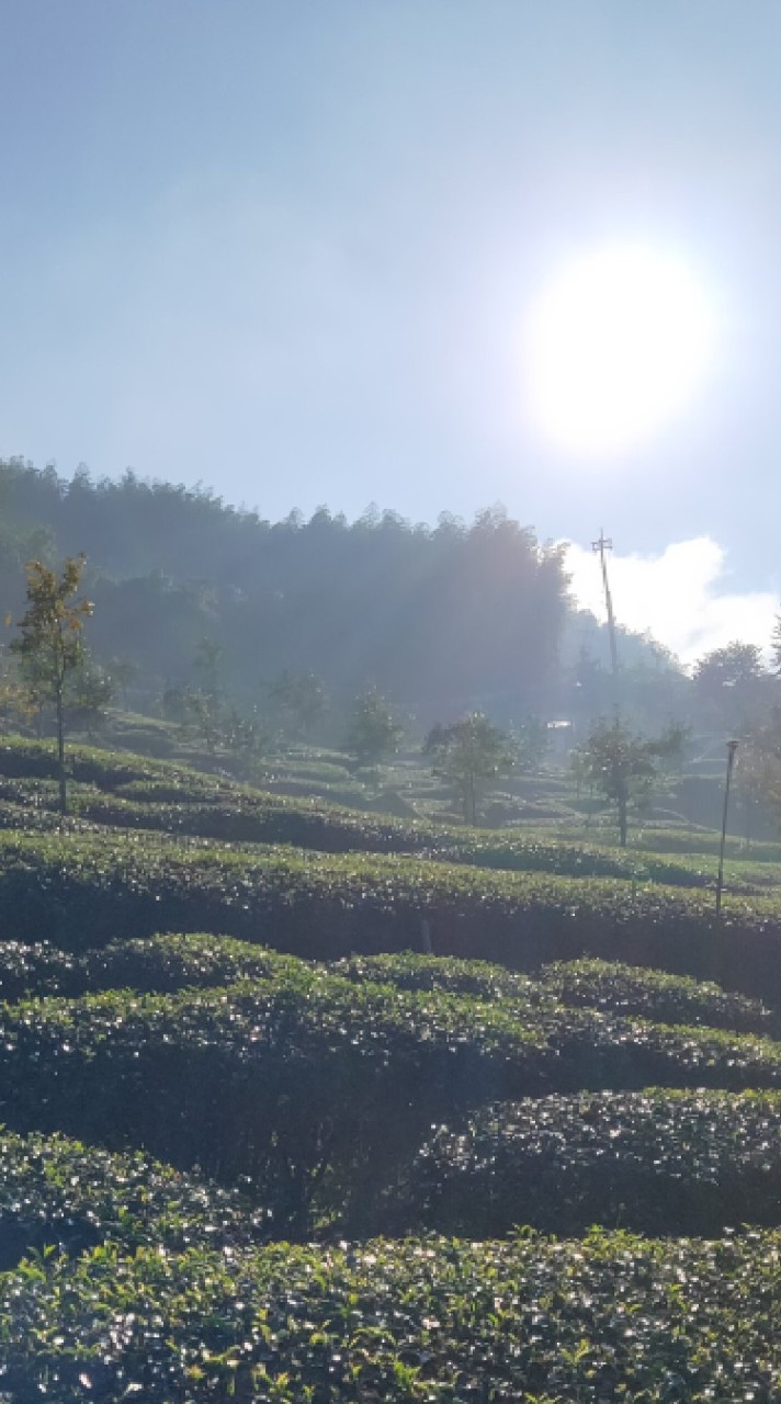 雙寶媽咪の團購小天地♡
