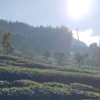 雙寶媽咪の團購小天地♡