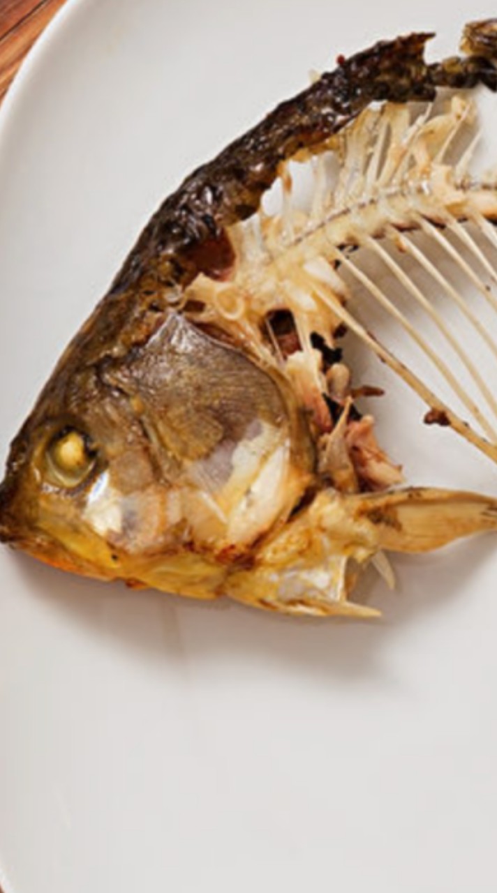 垃圾魚生物研討會
