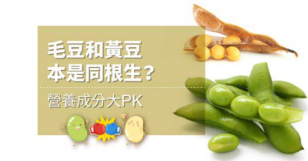 毛豆和黃豆本是同根生 營養成分大pk 華人健康網 Line Today