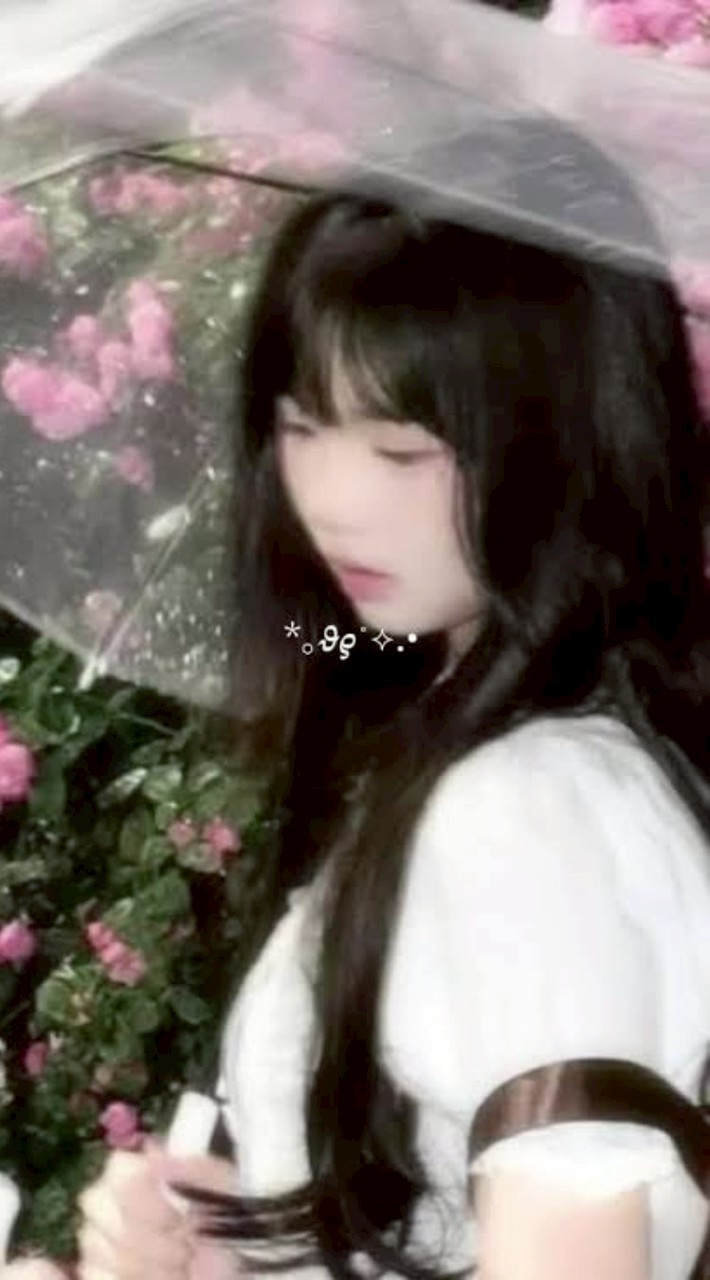 儚い女の子になりたい子集合