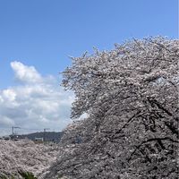 チャレンジカフェ☕営業所長塾｜営業・キャリア成長サロン