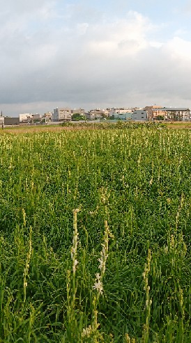 168房地產社群東森