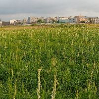 168房地產社群東森