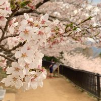 [ 出走 2 日本自由行 ]