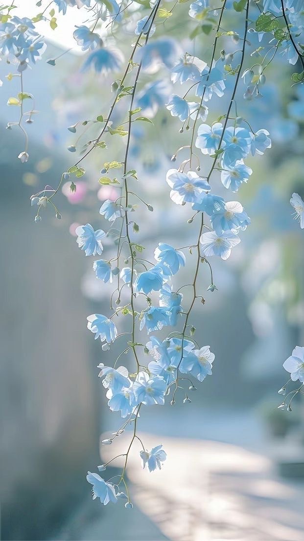 線香花火