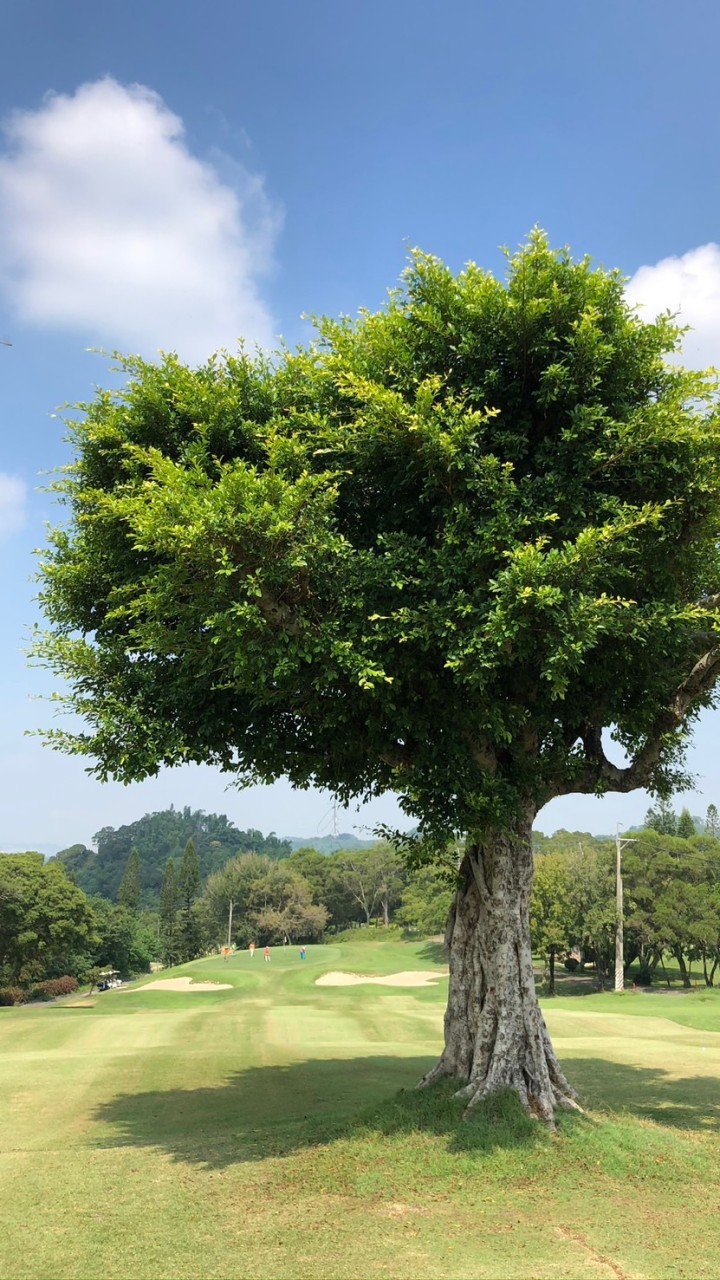 ALL GREEN 全綠能社區