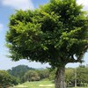 ALL GREEN 全綠能社區