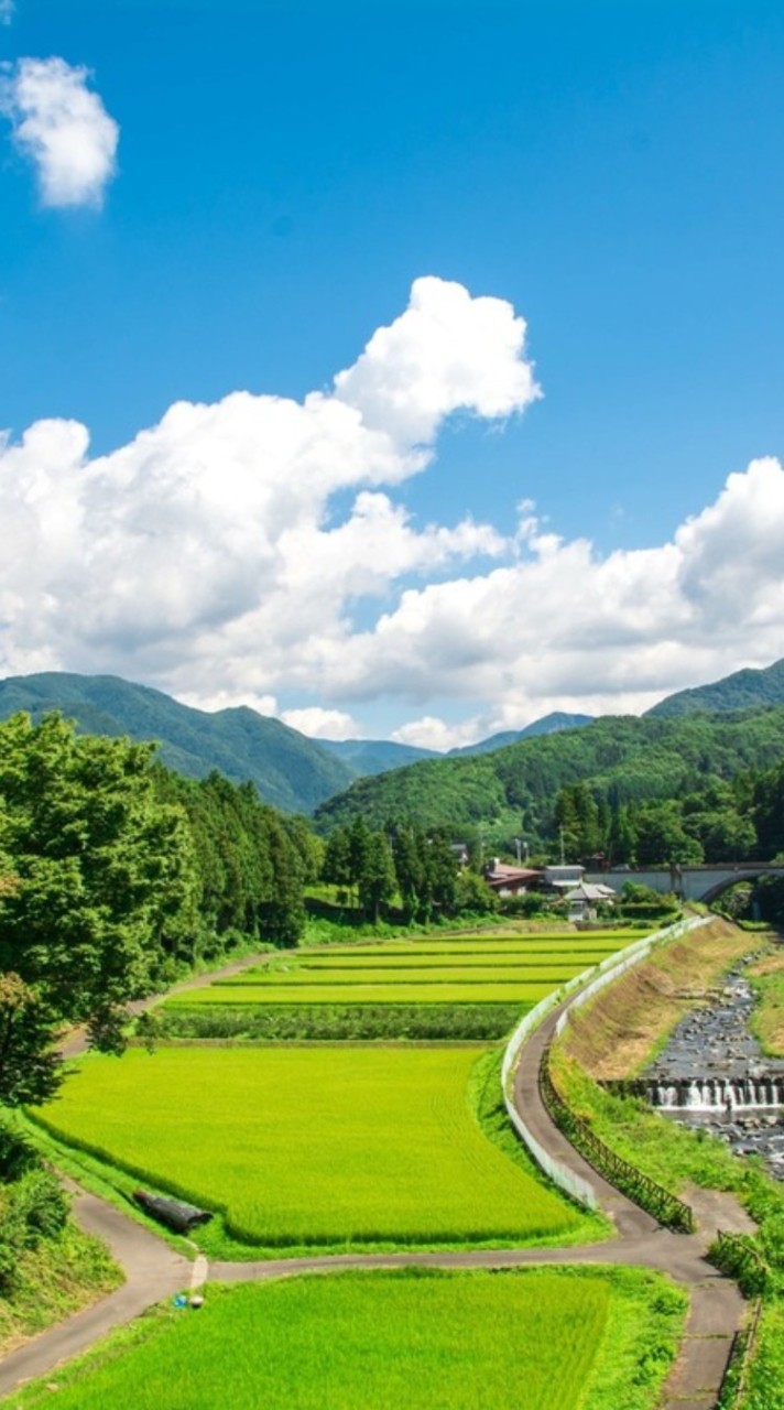 田舎の学生の集い(都会民も可能)