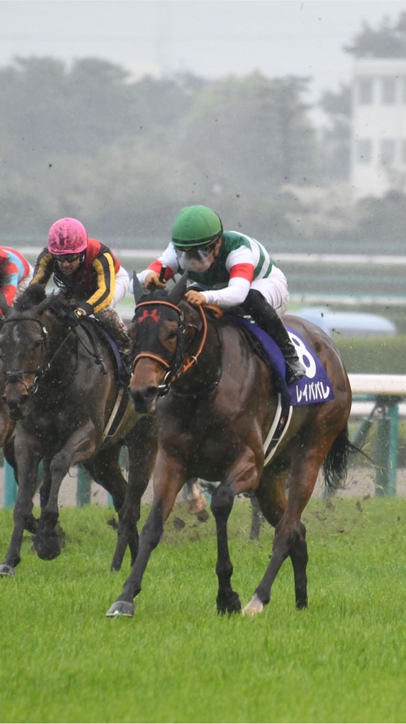🏇競馬🏇のオープンチャット