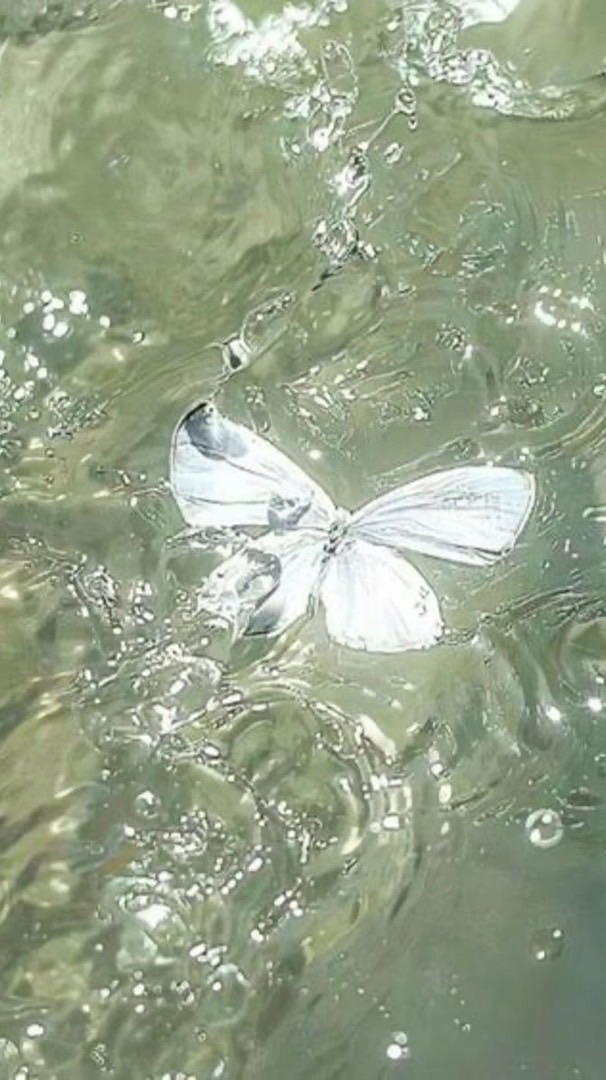 暗殺者対保安官2やってる方に✊🏻‪