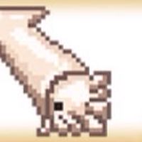 またたびのにゃんこ部屋