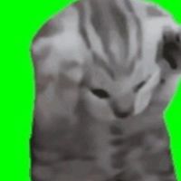 パパ黒は正義