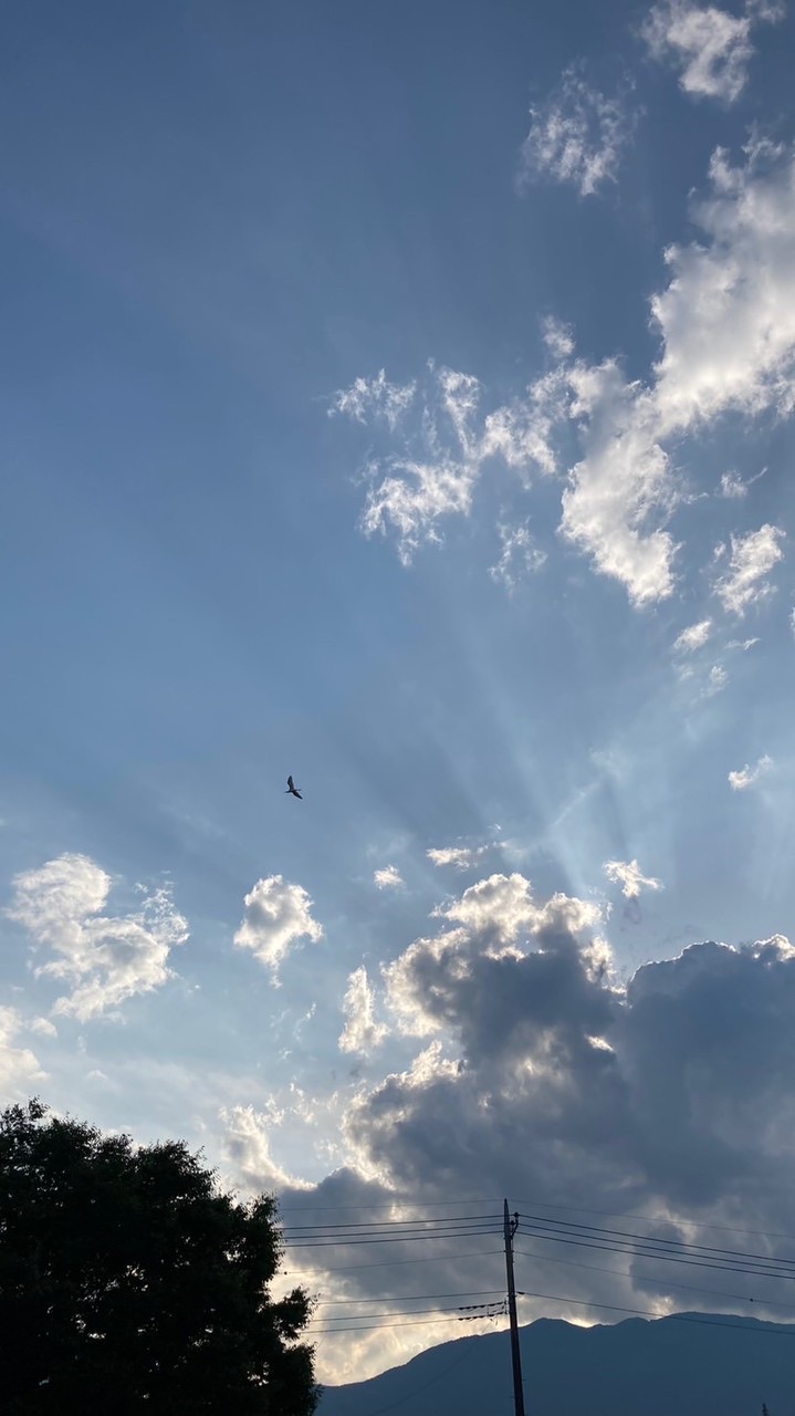 ここの人は案外、おしゃべり