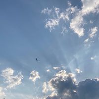 ここの人は案外、おしゃべり