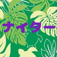 ナイターバス