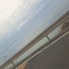 にゃるそっく